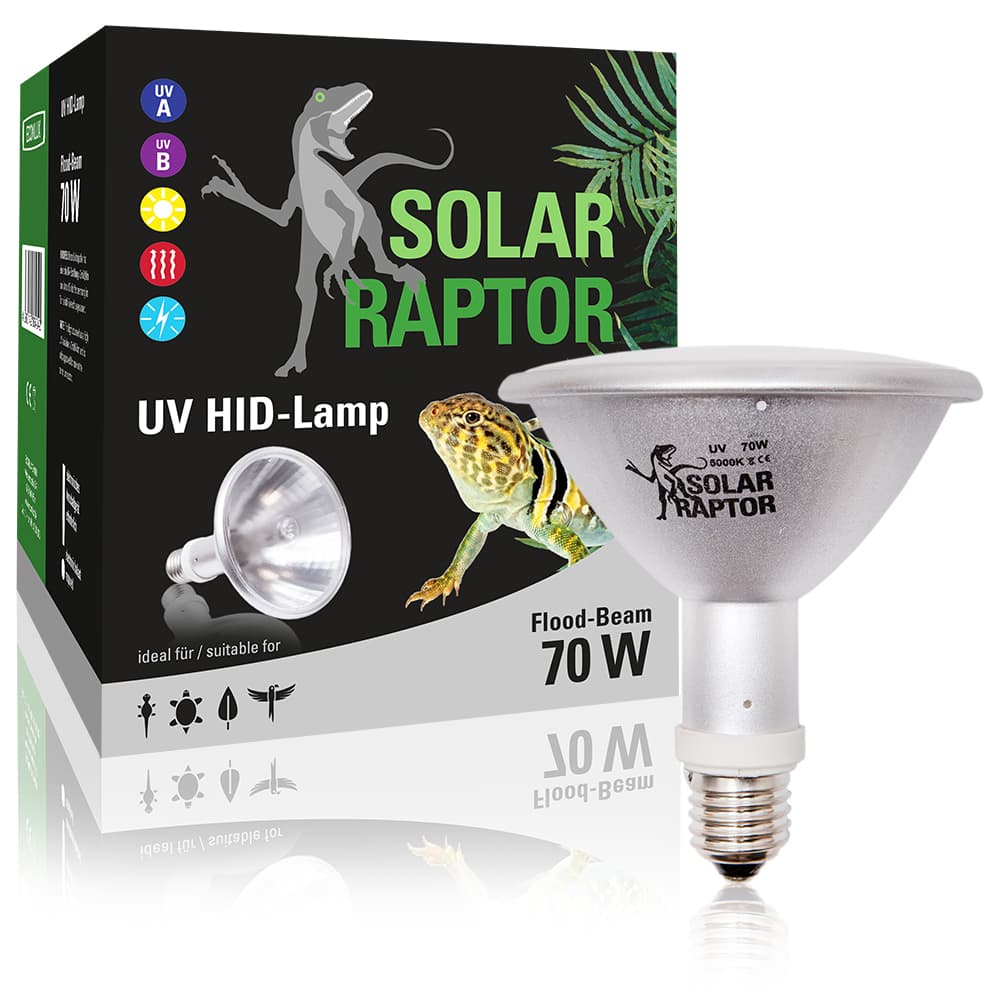 Solar Raptor HID-lampa 70w Flood-beam